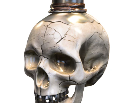 Side-Cracked Skull Flask 3D Model