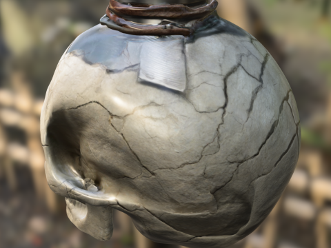 Side-Cracked Skull Flask 3D Модель