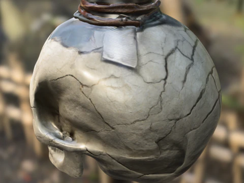 Side-Cracked Skull Flask 3D Model