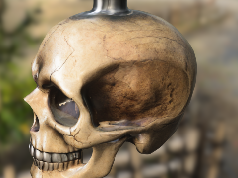 Skull Bottle Prop 3D मॉडल