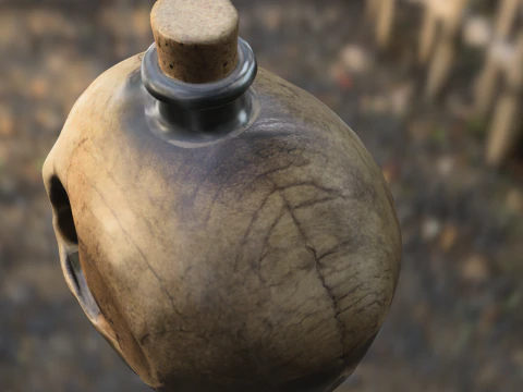 Skull Bottle Prop 3D Model