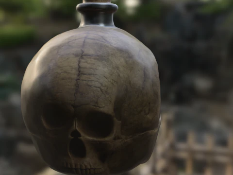 Skull Bottle Prop 3D Model