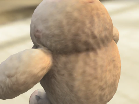 Fluffy Baby Yeti 3D Model