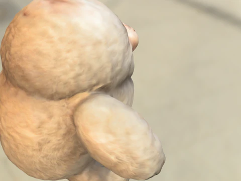 Fluffy Baby Yeti 3D Model