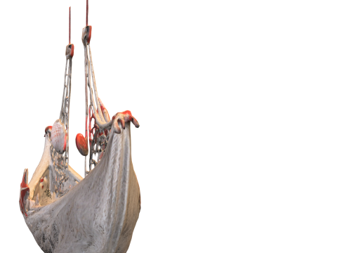Seashell Hammock Ornament Model 3D