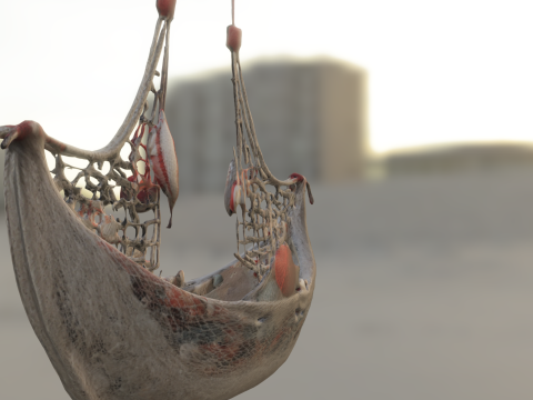 Seashell Hammock Ornament Model 3D