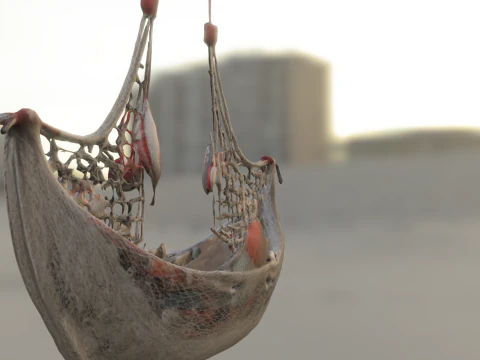 Seashell Hammock Ornament 3D Model