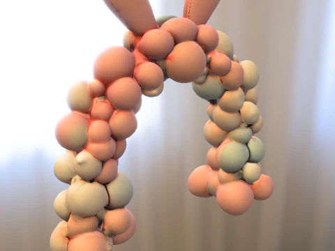 Bunny Balloon Arch 3D Model