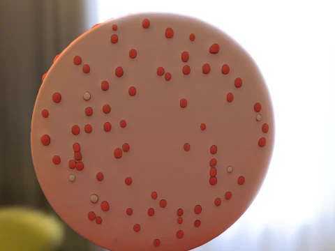 卡通饼干人物 3D 模型