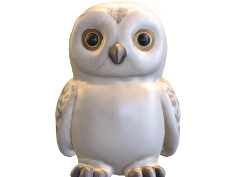 Fluffy Snow Owl Cute Pack 3D Model