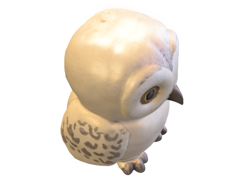 Fluffy Snow Owl Cute Pack 3D Model