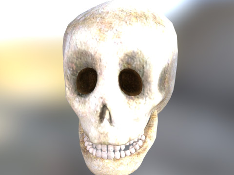 ホーンテッドスカル 3Dモデル