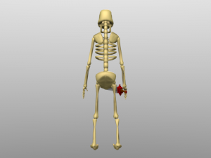 skeleton with 10 animation 3D 模型