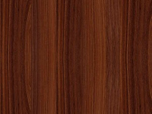 кухонні двері 3D Модель