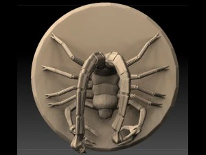 scorpion 3D Model