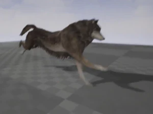 wolf rigged animated and game ready 3D Model
