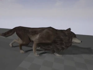 wolf rigged animated and game ready 3D Model