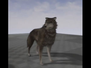 wolf rigged animated and game ready 3D Модель