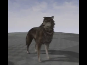 wolf rigged animated and game ready 3D Model
