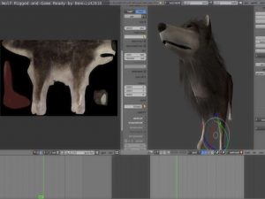 wolf rigged animated and game ready 3D Модель
