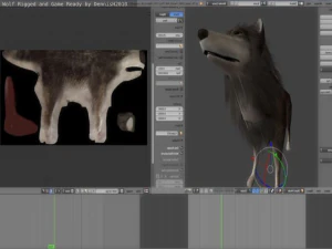 wolf rigged animated and game ready 3D Model