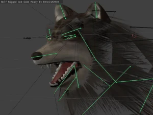 wolf rigged animated and game ready 3D Model