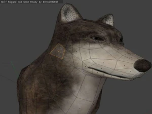 wolf rigged animated and game ready 3D Model