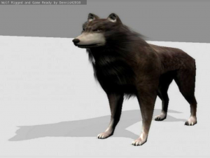 wolf rigged animated and game ready 3D Модель