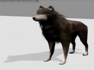 wolf rigged animated and game ready 3D Model