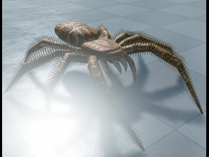 spider rigged and game ready 3D Model