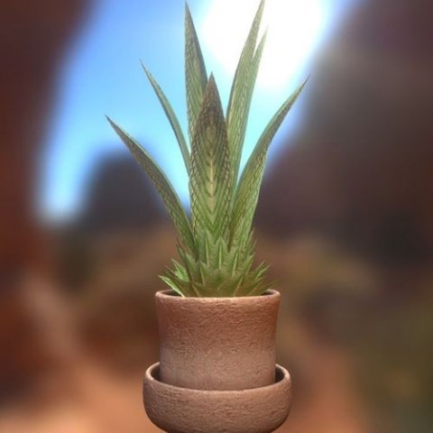 indoor pot plant Modello 3D .c4d .max .obj .3ds .fbx .stl .blend 