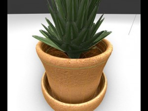 indoor pot plant Modello 3D