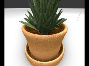 indoor pot plant 3D Model
