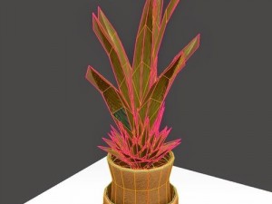 indoor pot plant Modello 3D