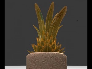 indoor pot plant Modello 3D