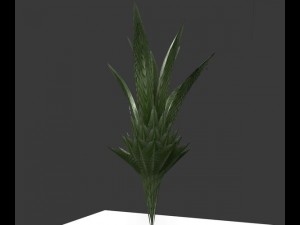 indoor pot plant Modello 3D