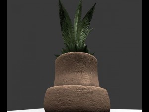 indoor pot plant Modello 3D