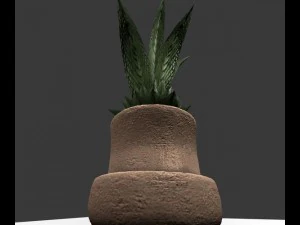 indoor pot plant 3D Model