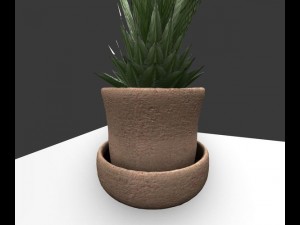 indoor pot plant Modello 3D