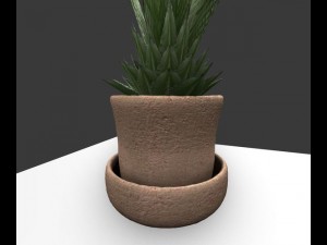 indoor pot plant Modello 3D