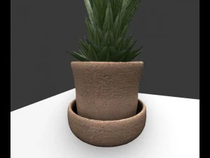 indoor pot plant 3D Model