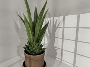 indoor pot plant Modello 3D