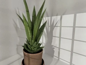 indoor pot plant 3D Model