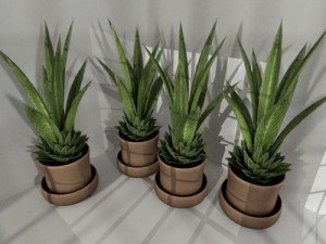 indoor pot plant Modello 3D