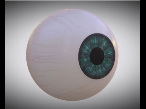 eyeball 3D-Modell