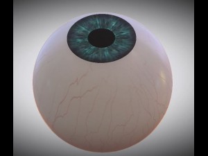 eyeball Modelo 3D