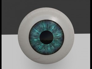 eyeball Modelo 3D