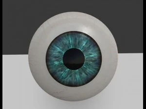 eyeball 3D Model