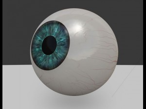 eyeball Modelo 3D