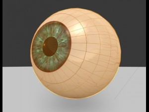 eyeball Modelo 3D